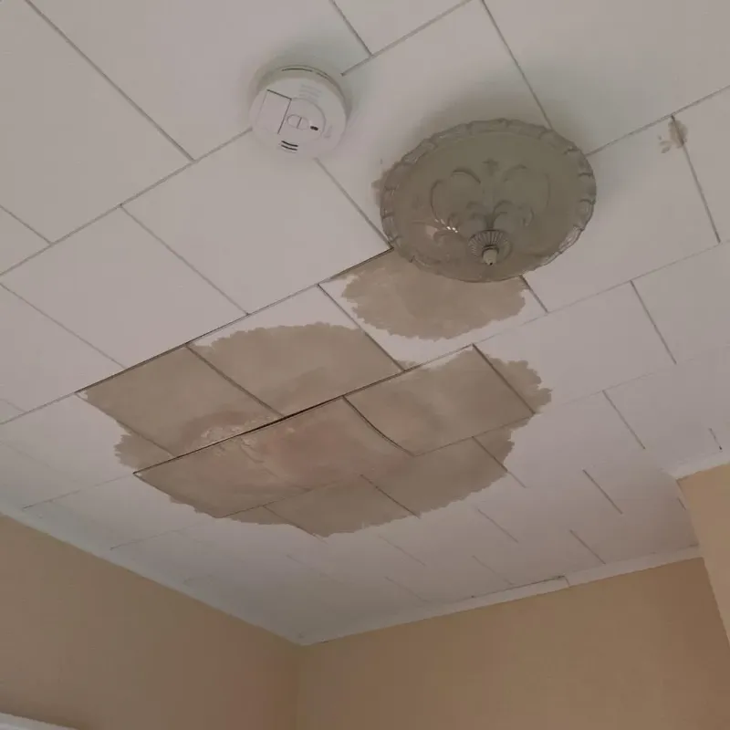 Ceiling Water Damage Repair in Salem, IL