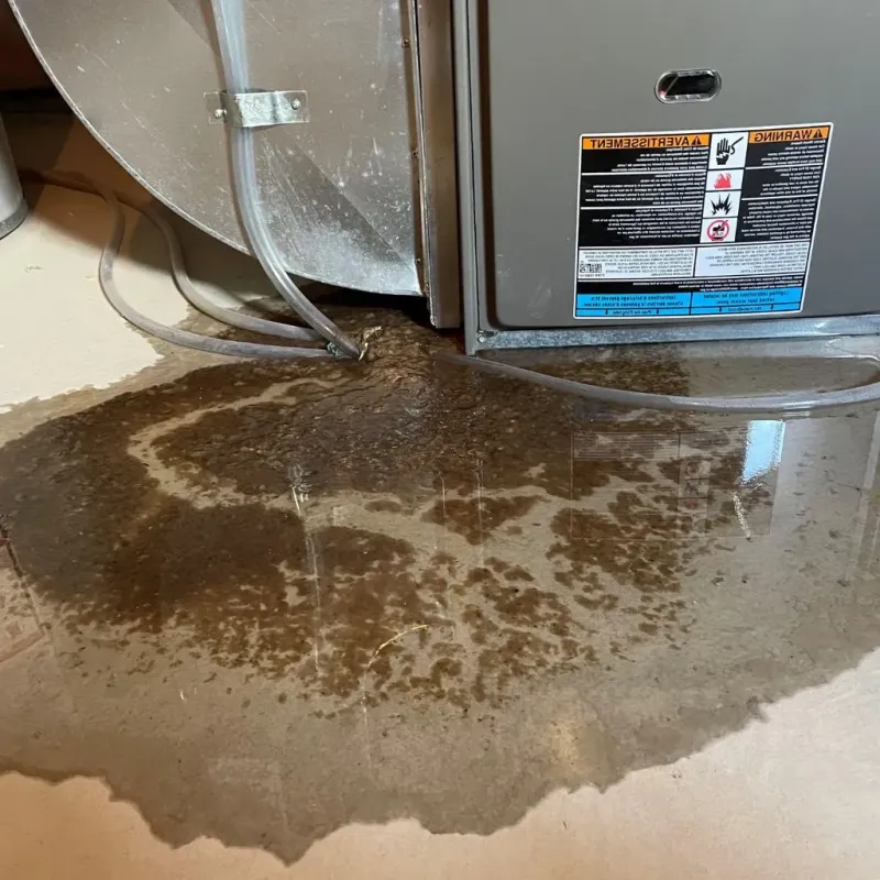 Pipe Burst and Leak Restoration in Salem, IL